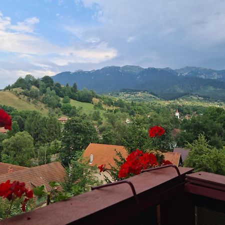 Vila Muntii Bucegi & Spa Bran  Extérieur photo