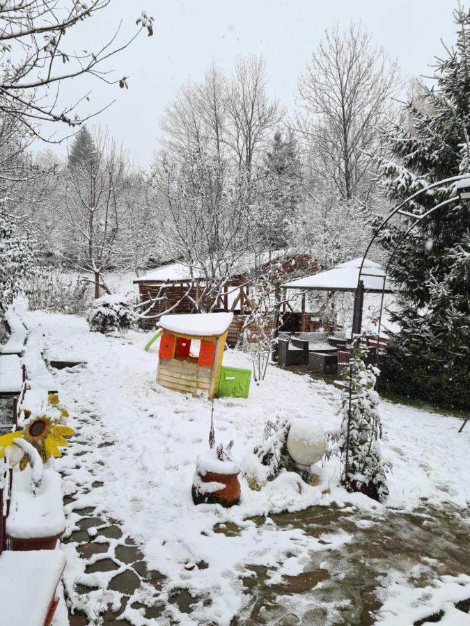 Vila Muntii Bucegi & Spa Bran  Extérieur photo