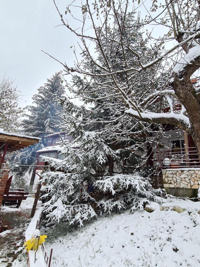 Vila Muntii Bucegi & Spa Bran  Extérieur photo