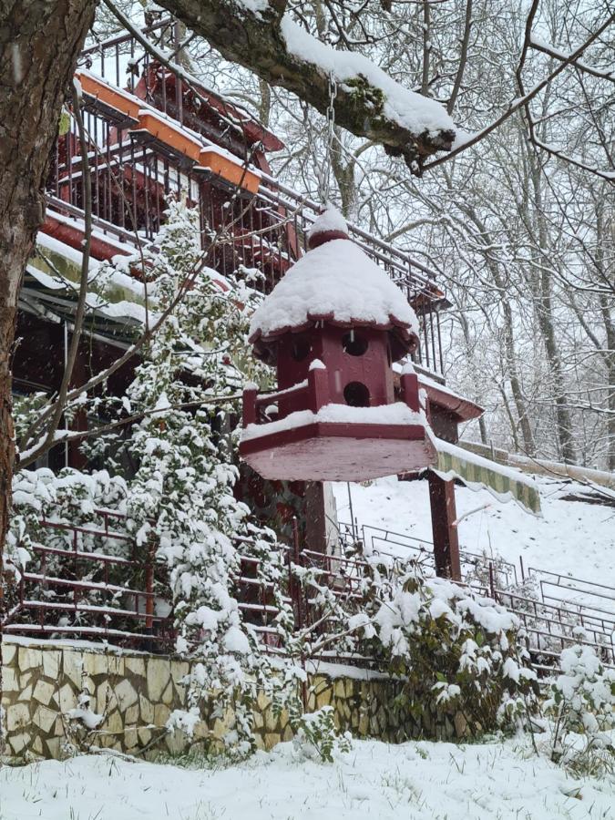 Vila Muntii Bucegi & Spa Bran  Extérieur photo