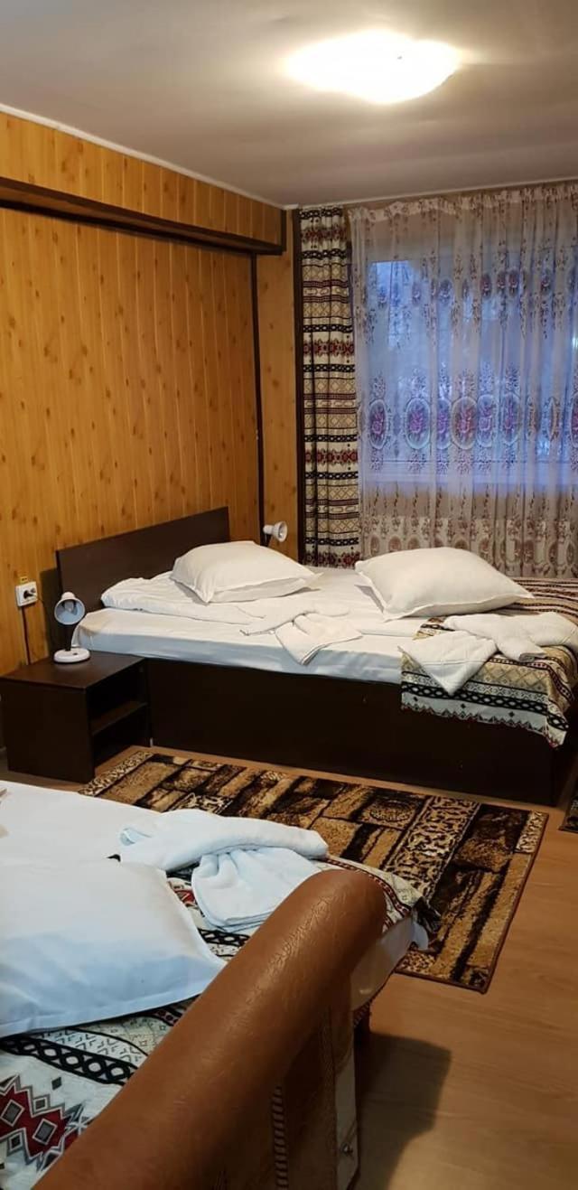 Vila Muntii Bucegi & Spa Bran  Extérieur photo