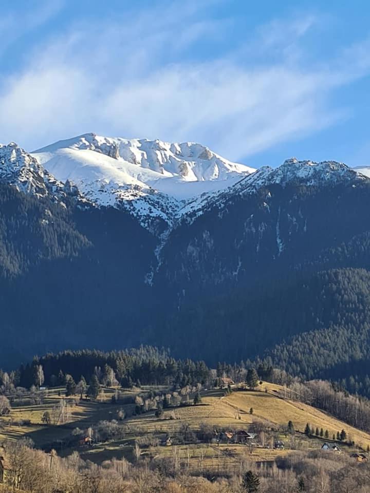 Vila Muntii Bucegi & Spa Bran  Extérieur photo