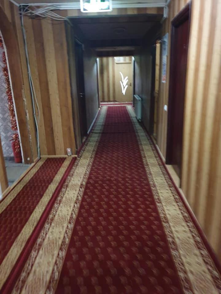 Vila Muntii Bucegi & Spa Bran  Extérieur photo