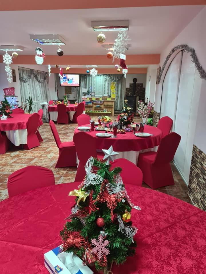 Vila Muntii Bucegi & Spa Bran  Extérieur photo
