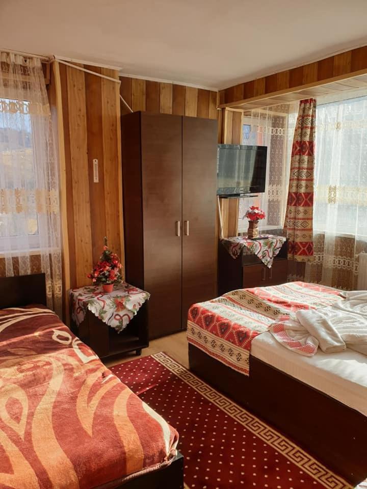 Vila Muntii Bucegi & Spa Bran  Extérieur photo
